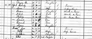 Sandy York Household, 1880