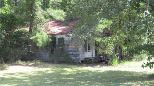 RhodieTrotterHomeJohnsville002